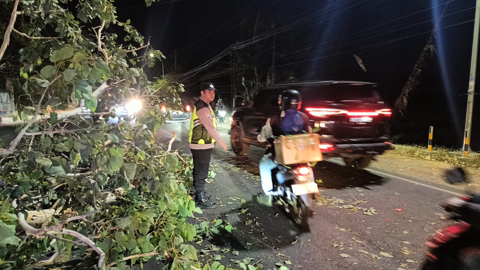 Pohon Galam Tumbang Tutup Jalur Ponorogo–Madiun, Polisi dan Tim Gabungan Bergerak Cepat