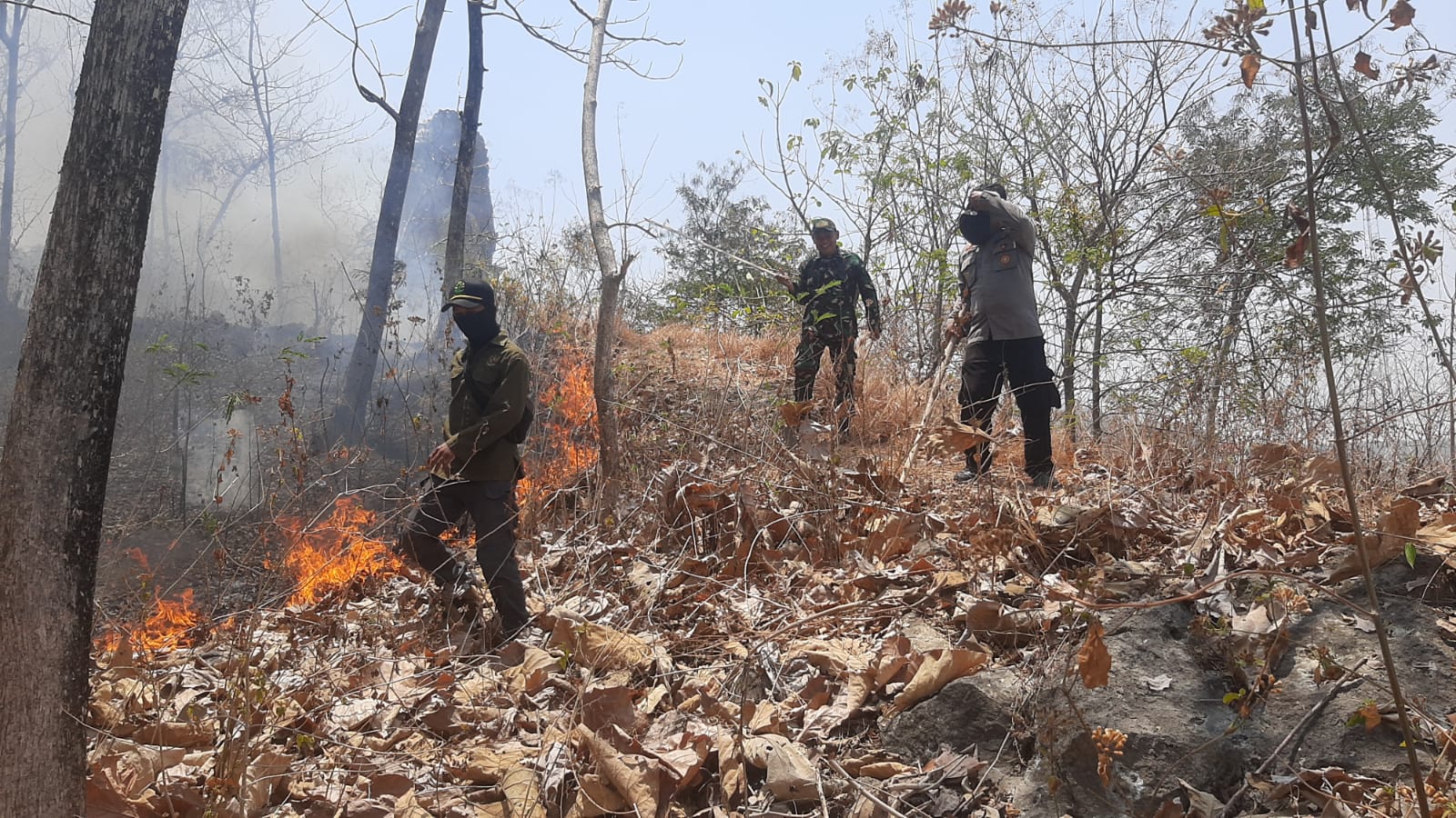 Polisi dan Petugas Gabungan Bergerak Cepat, Kebakaran Semak Hutan di Sampung Berhasil Dipadamkan